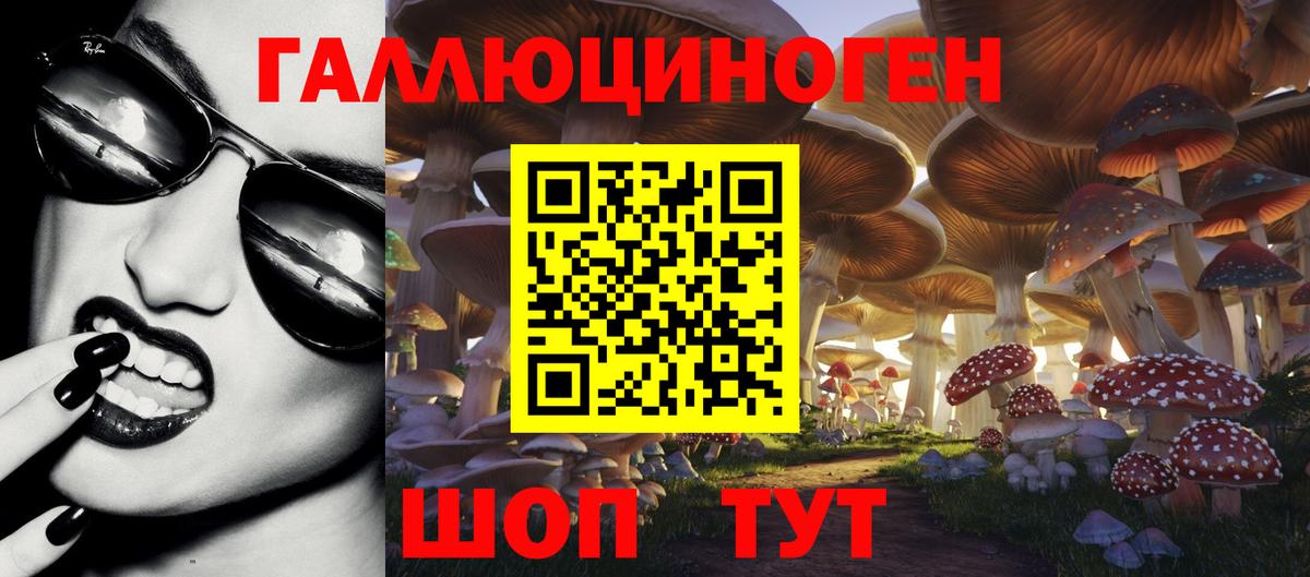 Галлюциногенные грибы Psilocybe  Вход с VPN  Новокубанск 