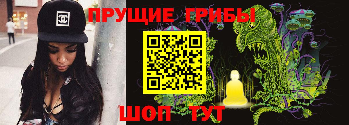 Псилоцибиновые грибы прущие грибы Новокубанск